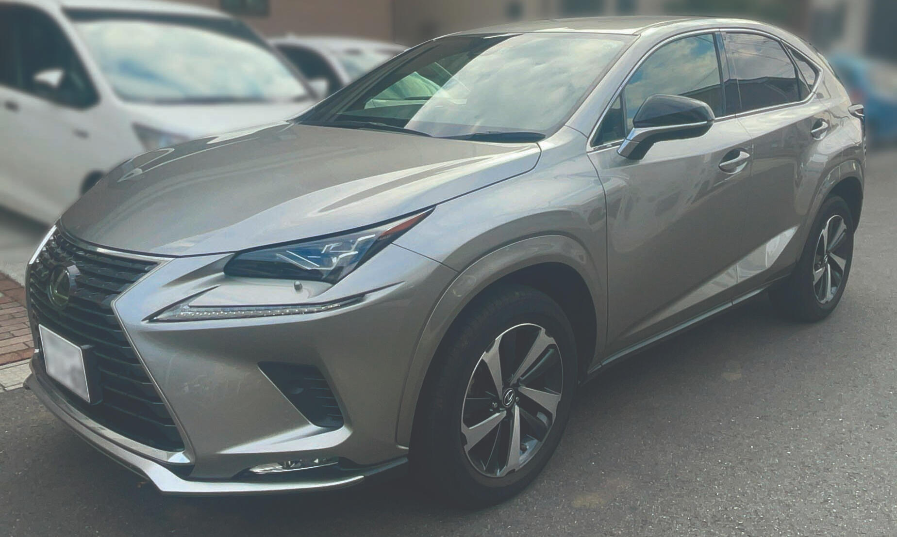 Lexus NX300X